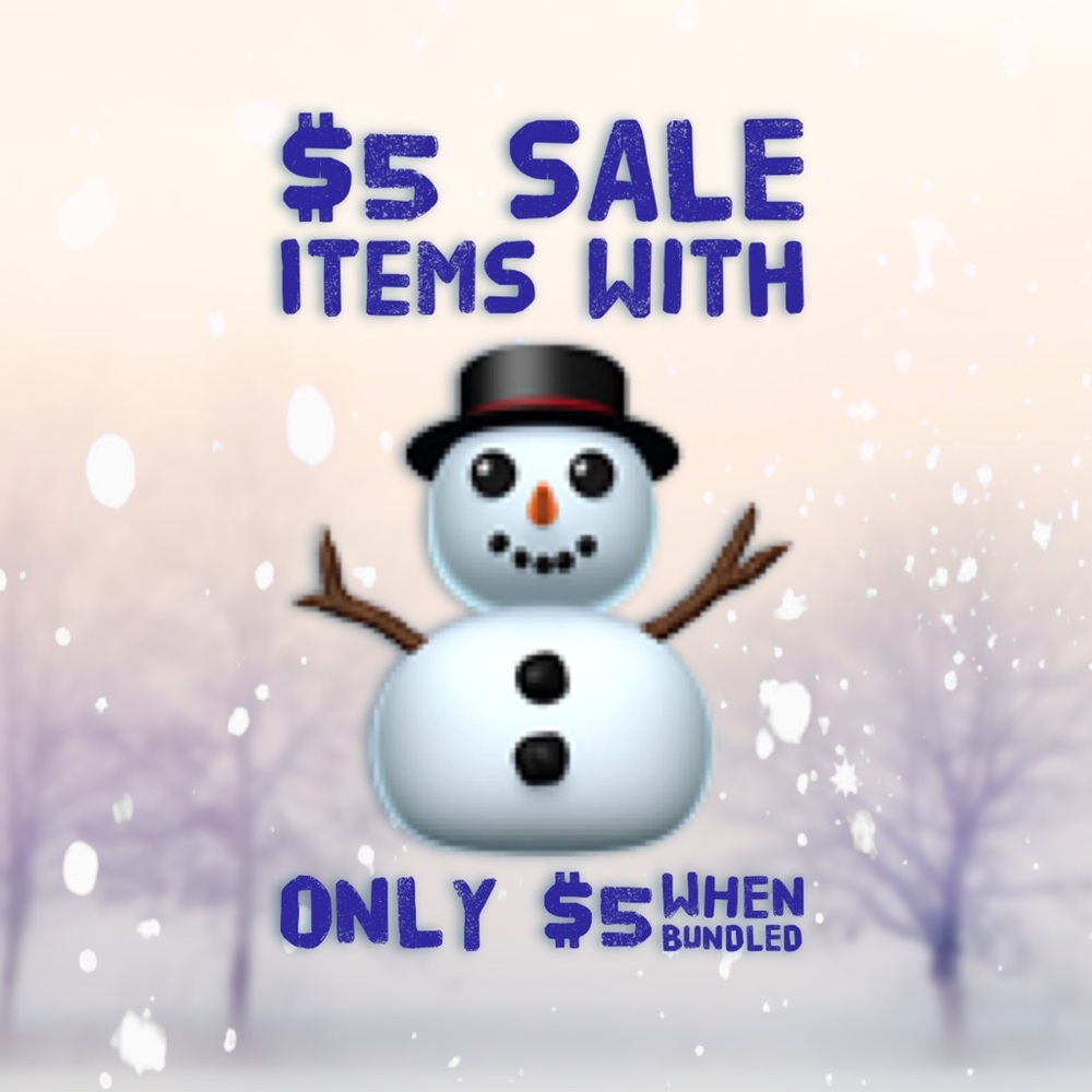 $5 SALE ⛄️ 3 faux succulents - Picture 5 of 5